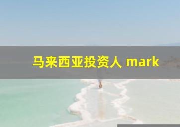 马来西亚投资人 mark